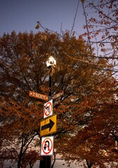 traffic signs on a street lamp