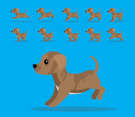 Animal Animation Sequence Dog Cimarron Uruguayo Cartoon Vector