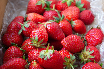 Fresh strawberries in carton.