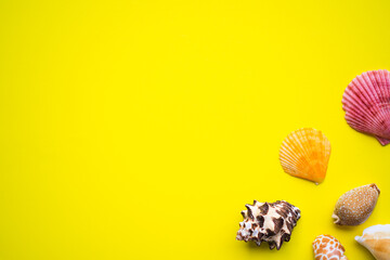 Sea shell on yellow paper. for background travel summer holidays. top view or flat lay with copy space.