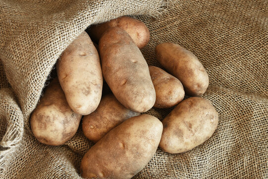 A Top View Image Of Large Organic Russet Potatoes On A Brown Burlap Sack. 