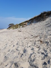 Sand dunes overgrown with green grass