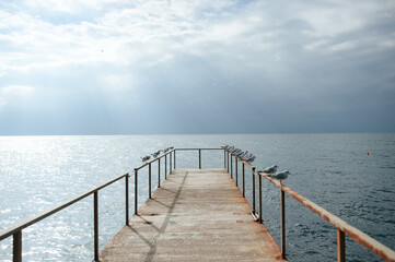 From the pier on the sea in sunny weather, seagulls sit on the railing