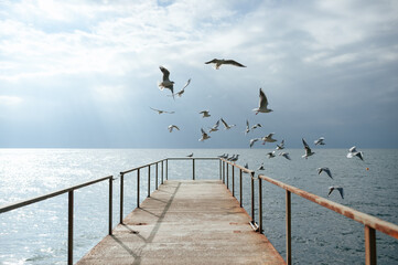 Seagulls fly from the pier to the sea in sunny weather