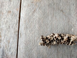 texture with a background