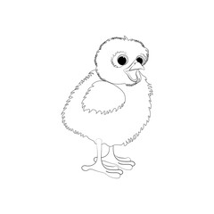 Chick bird cute animal vector illustration outline