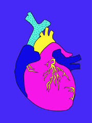 Coraz&oacute;n real con varios colores, vector
