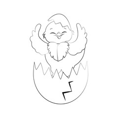 Easter chick in egg vector illustration outline