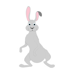 Rabbit little bunny cute animal vector illustration