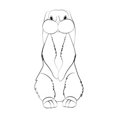 Rabbit little bunny cute animal vector illustration outline