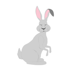 Rabbit little bunny cute animal vector illustration
