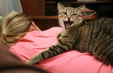 Aggressive cat on the back of a lying woman. Pets. Aggressive animals.
