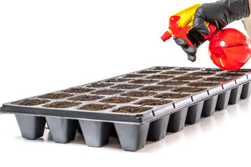 Preparation for sowing seeds in plastic seedling cassettes filled with humus soil. Agriculture....