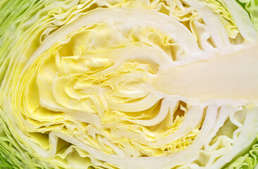 Texture of halved cabbage. Close up. Abstract food background.