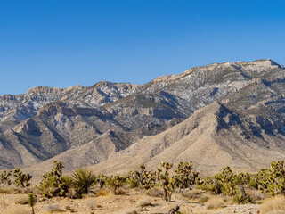 Beautiful nature landscape near Late Night Trail