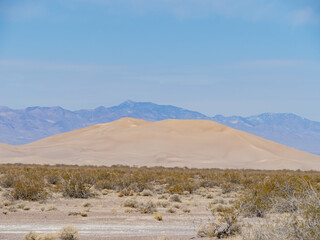 Sunny view of the Amargosa Sand Dunes in a hot day