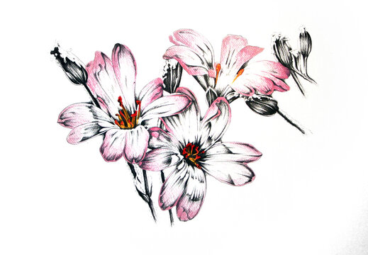 Vintage background with art illustration flower