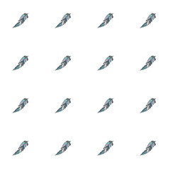 Set of seamless pattern feathers.