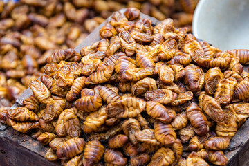 市場で売られるポンテギ