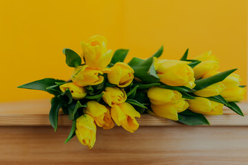 Bright fresh yellow tulips on yellow background. Many tulips closeup on wooden table. Bunch of yellow tulips on table.
