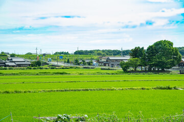 兵庫県・加古郡稲美町の風景