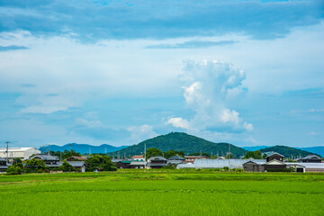 兵庫県・加古郡稲美町の風景
