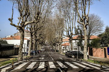 Naklejka premium town