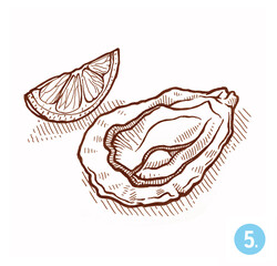 Oysters. Isolated on white background. Hand drawn illustration. Engraving style.