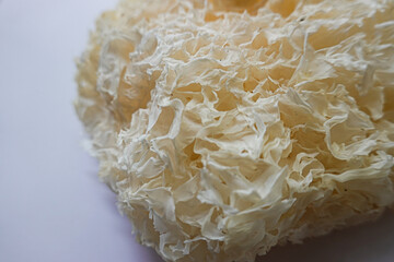 Close up texure and surface of  Tremella Mushroom, Tremella Fuciformis Mushroom ( White Jelly Fungus , white jelly mushroom)