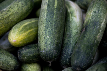 cucumbers on a market