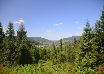 Fototapeta premium summer carpathian mountain landscape. green hills rolling in to the distance. fluffy clouds on the blue sky above the valley. bright sunny day