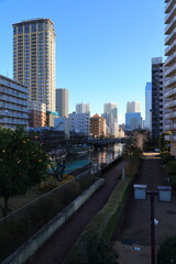 月島の運河沿いに延びる高層マンション群