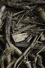 old_wood