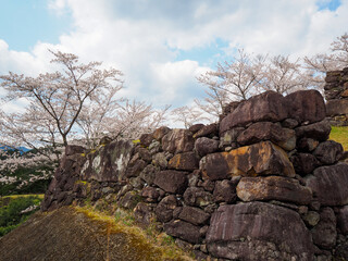 赤木城跡（熊野市）と桜