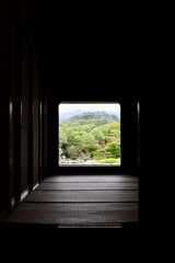 Japan Garden 庭園