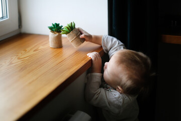 Caucasian baby toddler plays with flowers of succulents on the windowsill, stretches with pots of flowers. Baby safety at home