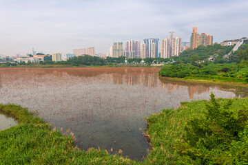 Macau
