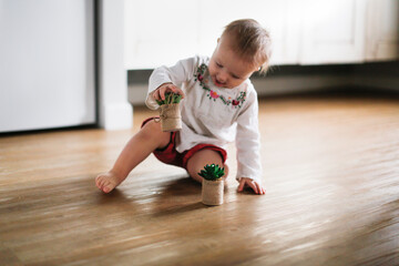 Caucasian baby toddler plays with flowers of succulents in small pots, stretches with pots of flowers. Children's curiosity and interest in plants