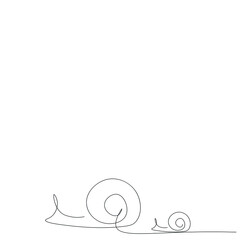 Snails animal line drawing, vector illustration