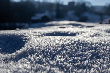 Snow Groundlevel-Photo