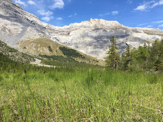 landscape in the mountains