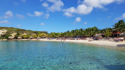 beach with palm trees in curacao