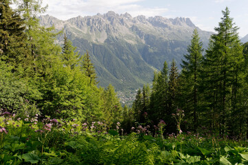 The Valley of Chamonix (Alps, France)