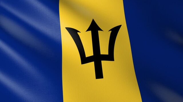 Flag of The Barbados. Flag's footages are rendered in real 3D software. Perfect for TV, Movies, social, HUD, presentations, webs etc.