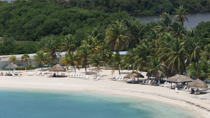 beach with palm trees in curacao