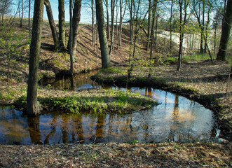 Natural source in the woods.