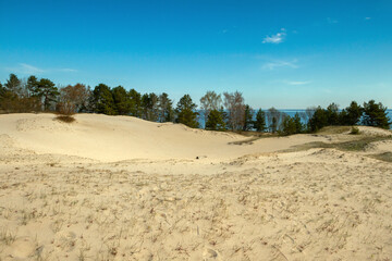 Sand dunes at the Baltic sea.