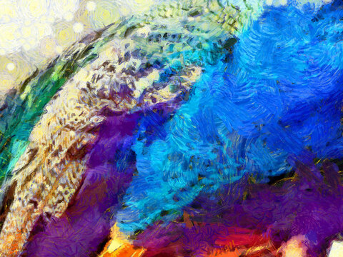 The body of the peacock. Illustrations creates an impressionist style of painting.