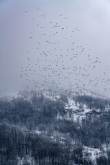 winter day in the snowy Italian Alps