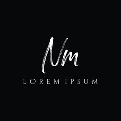 Letter NM luxury logo design vector